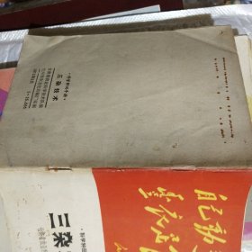 三杂技术