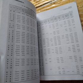 中国商品交易市场统计年鉴.2007