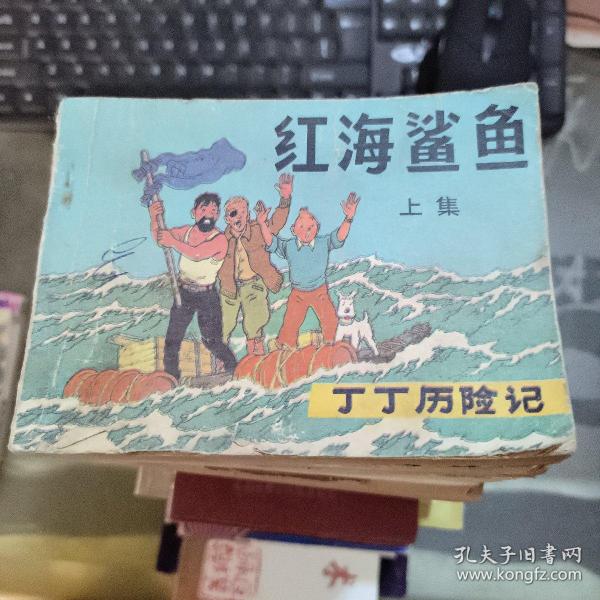 红海鲨鱼 （上）