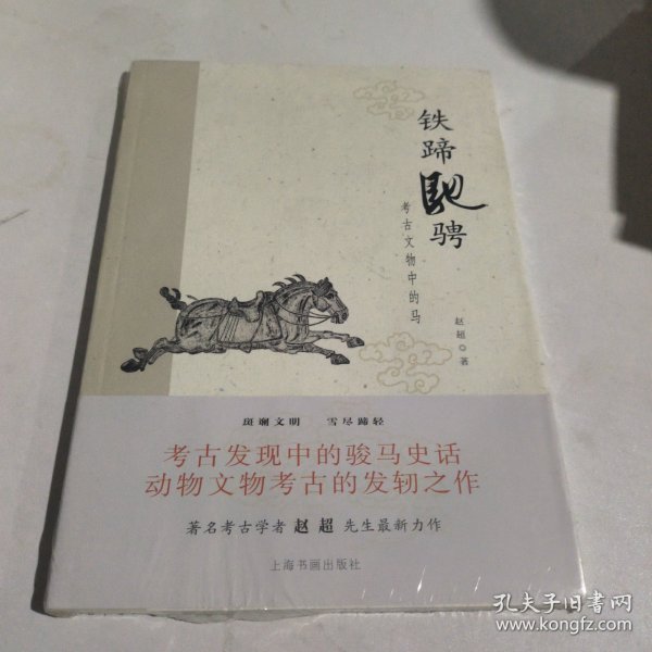 铁蹄驰骋：考古文物中的马