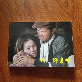 彩色电影连环画[啊，野麦的岭]