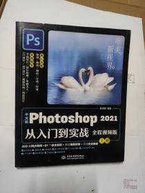 中文版Photoshop 2021从入门到实战（全程视频版）上册