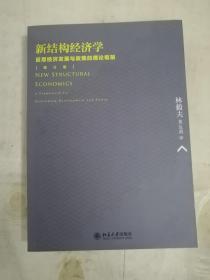 新结构经济学：反思经济发展与政策的理论框架(增订版)