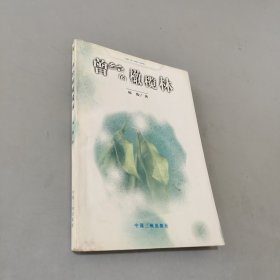 想象漂泊