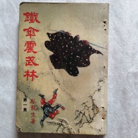 铁伞震武林（一）