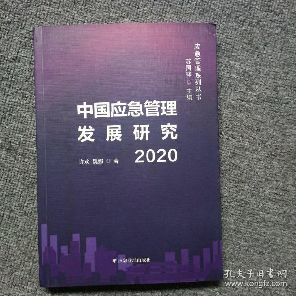 中国应急管理发展研究2020