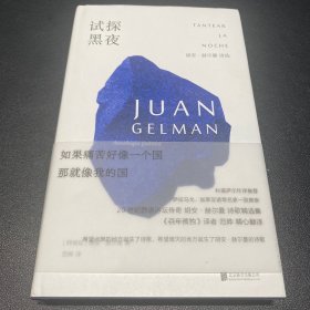 试探黑夜：胡安·赫尔曼诗选