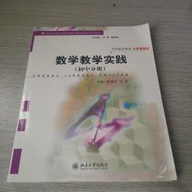 数学教学实践(初中分册)