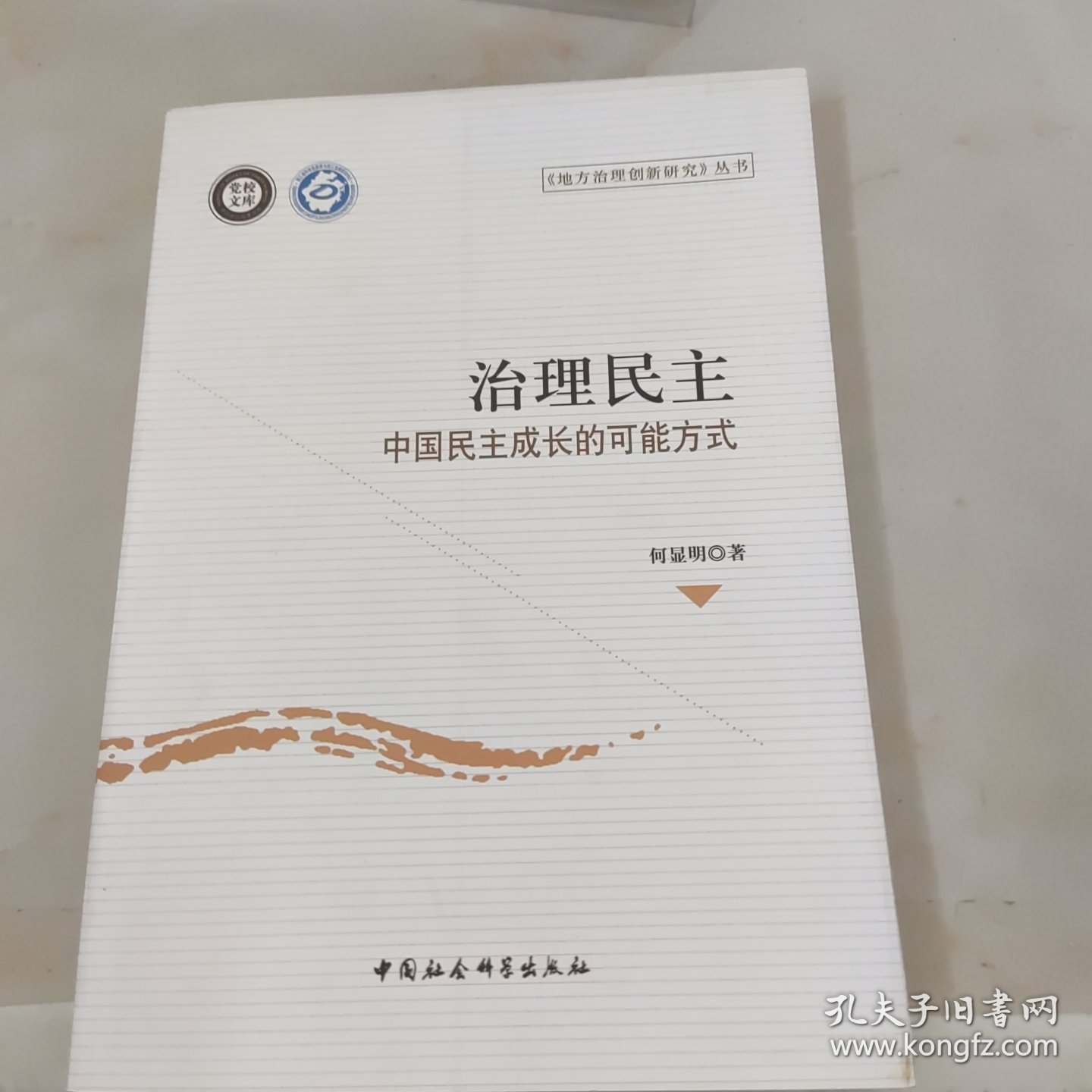 地方治理创新研究丛书：治理民主·中国民主成长的可能方式