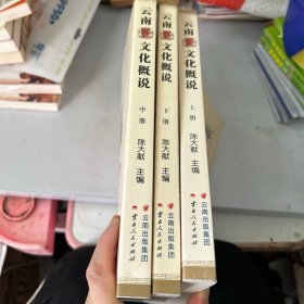 云南爨文化概说 上中下全三册