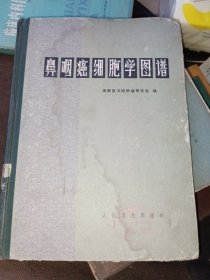 鼻咽癌细胞学图谱