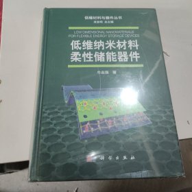 低维纳米材料柔性储能器件