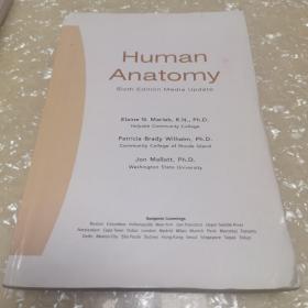 Human Anatomy