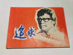 追求