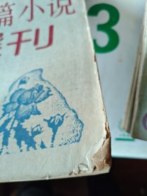 中篇小说选刊1991年 第3期