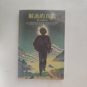 解离的真实：继续与唐望对话