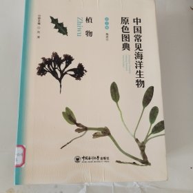 中国常见海洋生物原色图典——植物