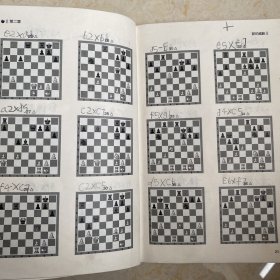 国际象棋基本技术 吃法（上册，国内多位国际象棋名师联合编撰，2196道吃子练习，孩子提升棋力的宝典，初级教练员教学必备）