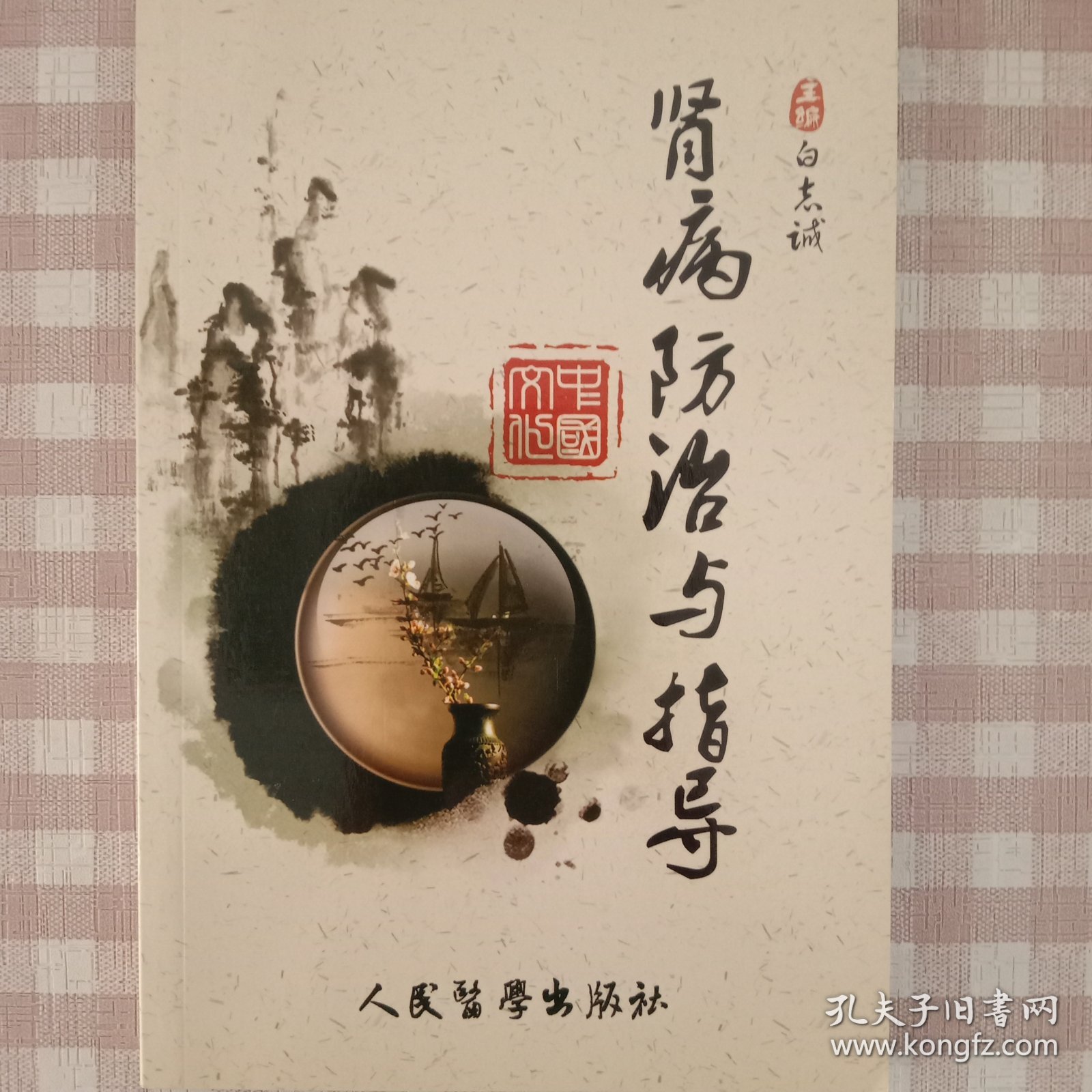 中西医结合肾脏病咨询手册