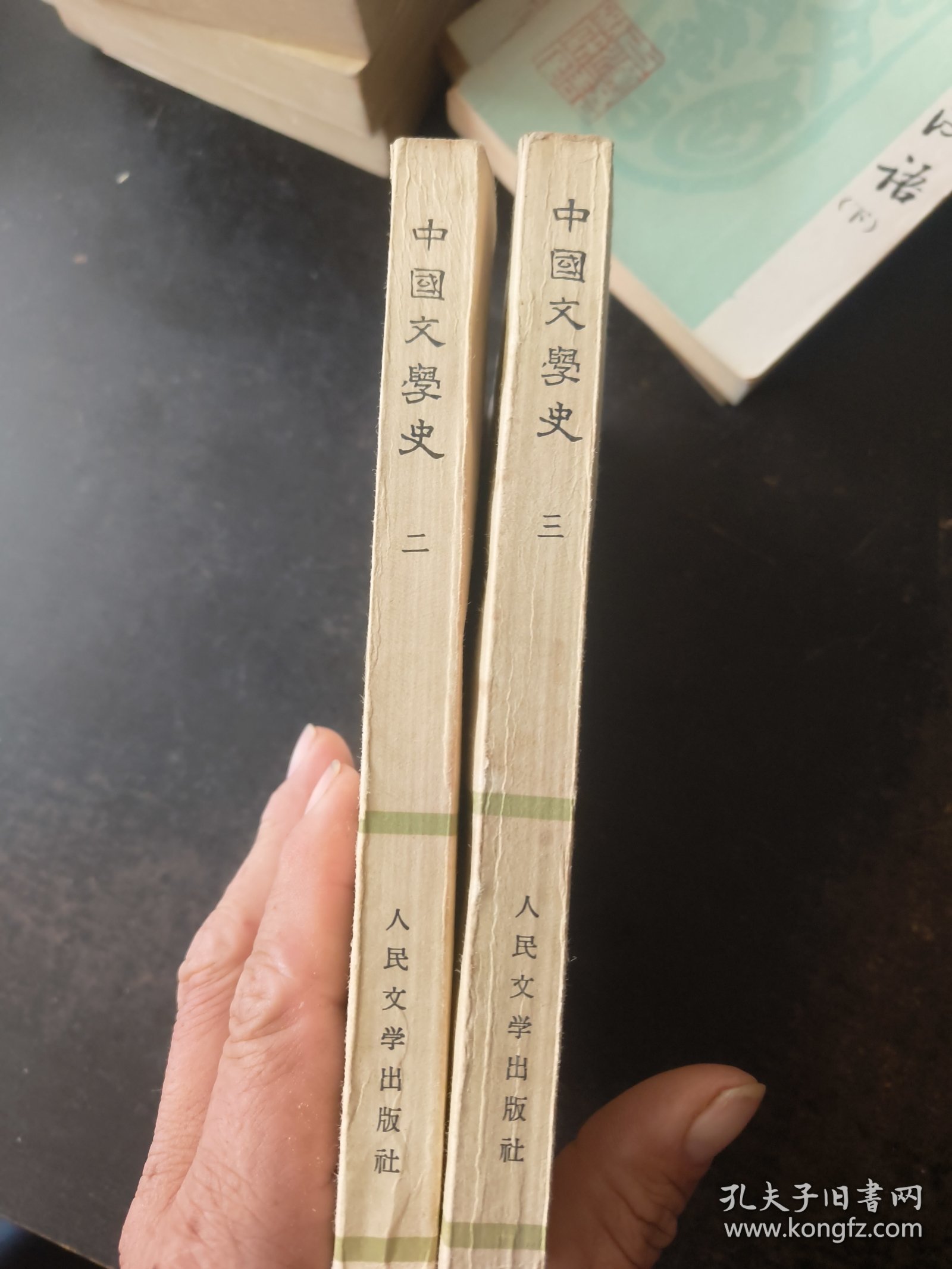 中国文学史（二 三册）