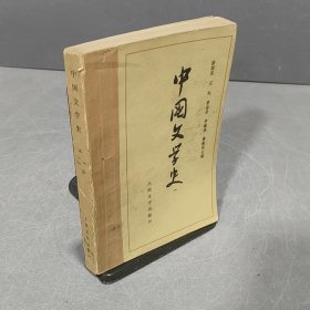中国文学史 一