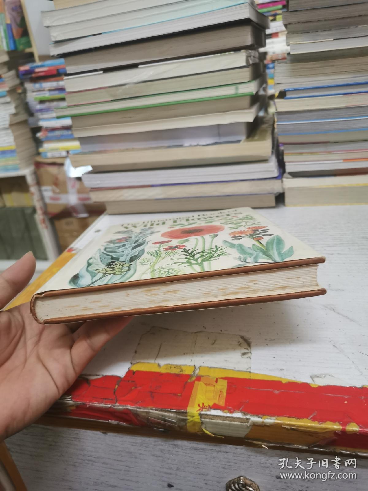 The Iiiustrated Book of Wild flowers