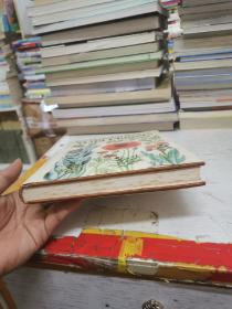 The Iiiustrated Book of Wild flowers