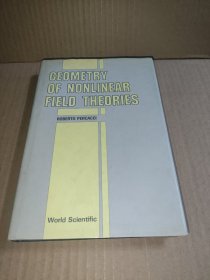 GEOMETRY OF NONLINEAR FIELD THEORIES