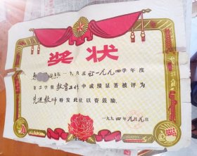 【奖状】：阜阳市周棚镇人民政府（1994）