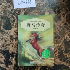 中外动物小说精品（升级版）：野马传奇