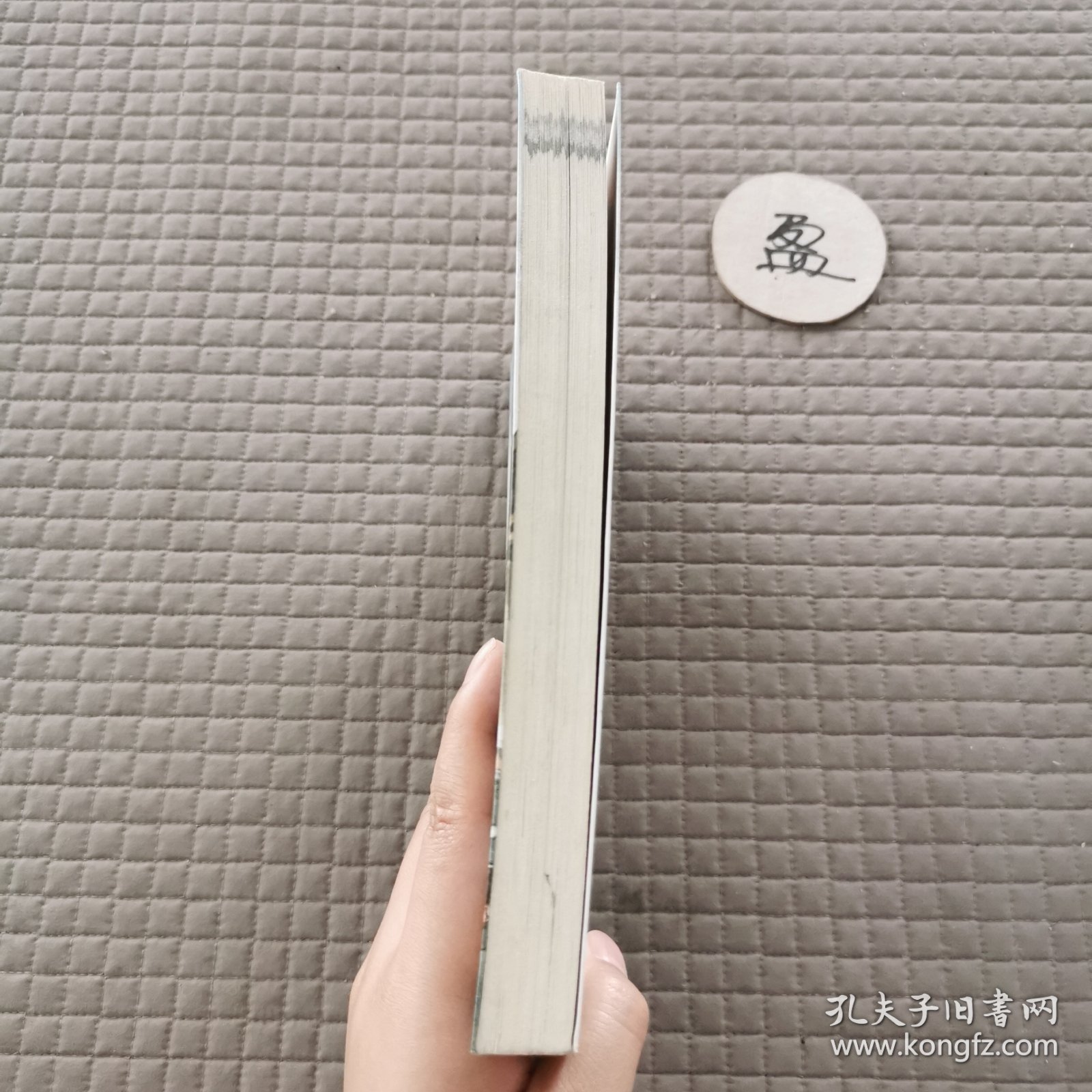 布老虎与布绵羊之英雄出少年