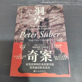 洞穴奇案 法哲学专业领域寓言式的经典文献，优秀跨学科通识教育的理想读本