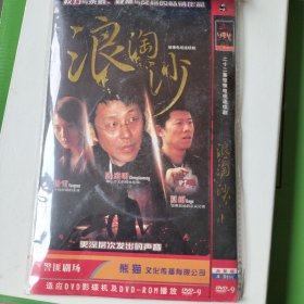 电视剧 浪淘沙 dvd-9四碟装
