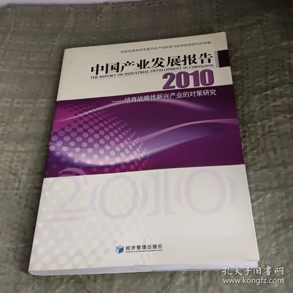 2010中国产业发展报告：培育战略性新兴产业的对策研究