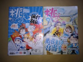 桃之夭夭 2013年11月B（带副刊•共两本）