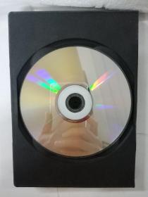 散打基本功腿法进攻型技术训练DVD