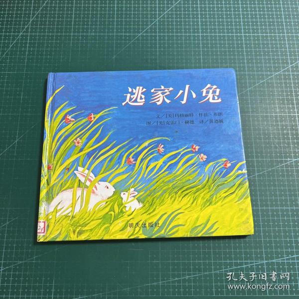 信谊绘本世界精选图画书：逃家小兔