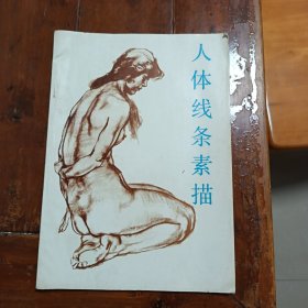 人体线条素描