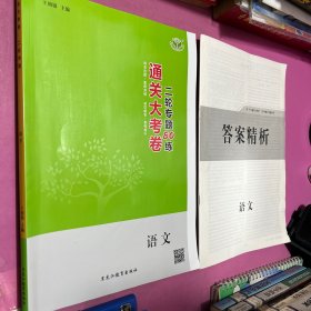 2021 通关大考卷 二轮专题 语文 王朝银 正版 样书 9787531695943