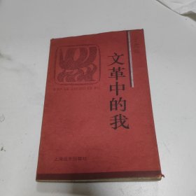 文革中的我