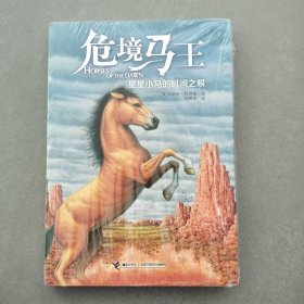 危境马王 星星小马的时间之眼