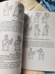 咏春拳肘法(The Elbows Technique In Wing Chun)