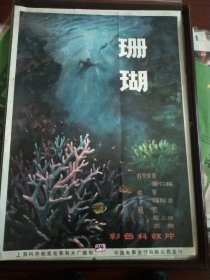 《珊瑚》——彩色科教片《珊瑚》，上海科学教育制片厂摄制，中国电影发行放映公司发行(2开)——更多年画请进店选拍选购！藏号2324