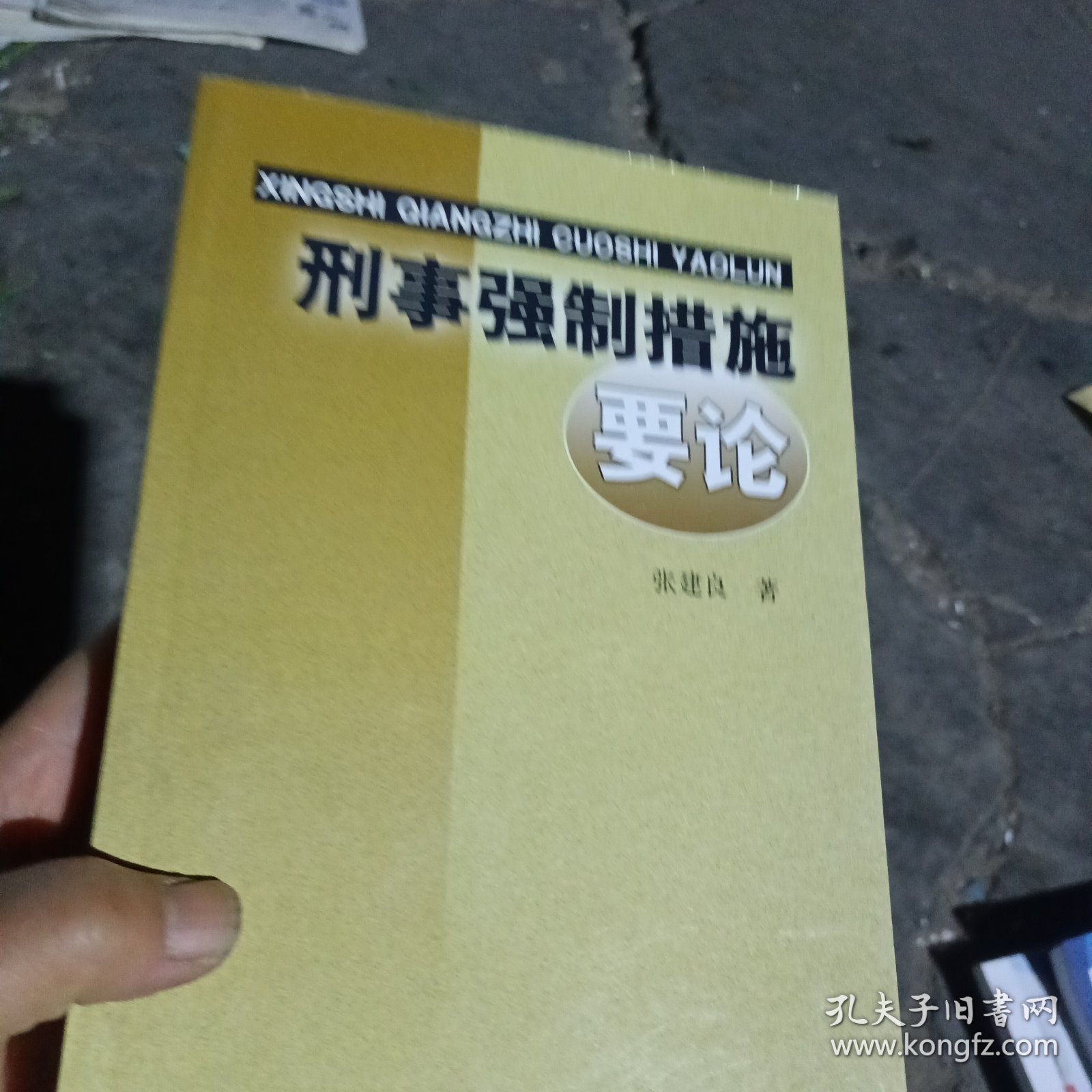 刑事强制措施要论