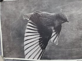 四川美术学院教授，叶永青版画