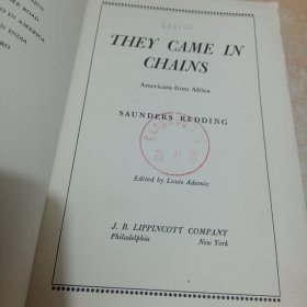 They came in chains;: Americans from Africa