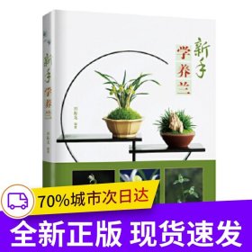 新手學(xué)養(yǎng)蘭