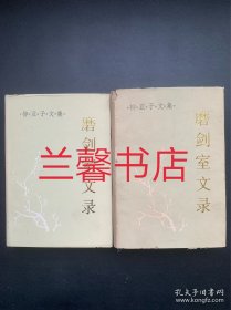 柳亚子文集：磨剑室文录（上下 精装本）