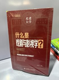 什么是戏剧与影视学 走进大学系列丛书
