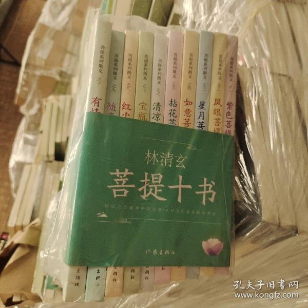 林清玄菩提十书（全10册）